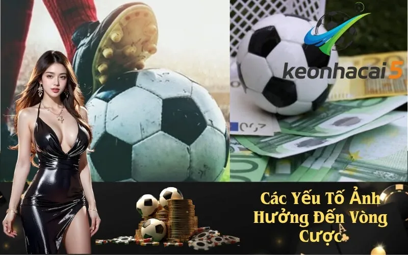 Các Yếu Tố Ảnh Hưởng Đến Vòng Cược